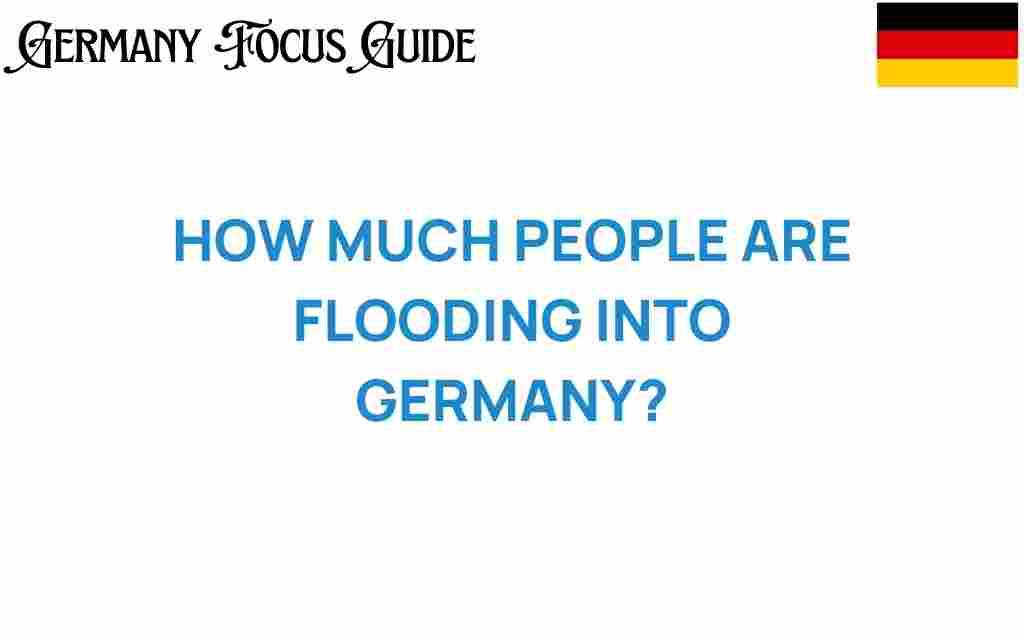how-much-people-are-flooding-into-germany